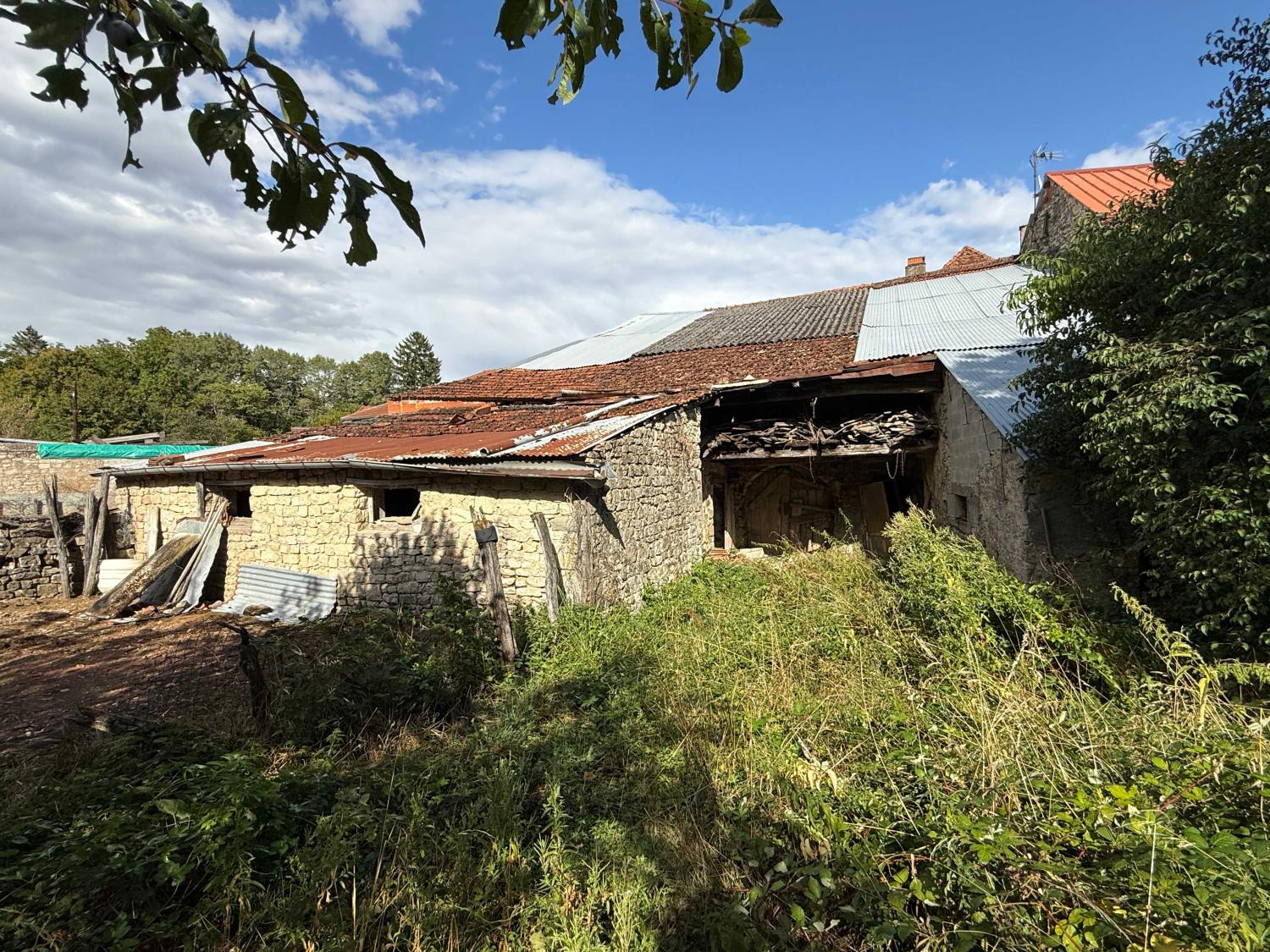 for sale village house Melay Haute-Marne 28