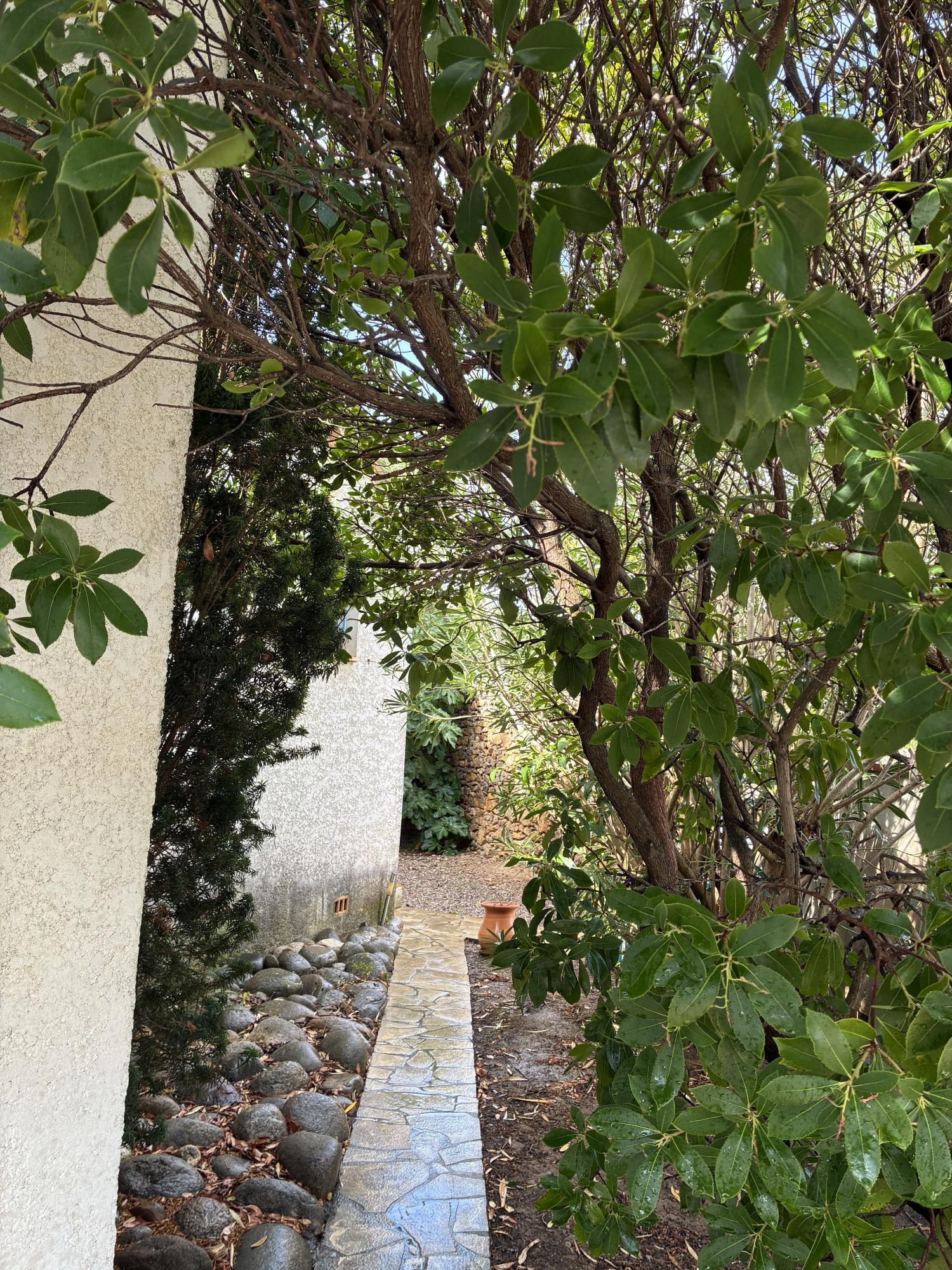 for sale village house Narbonne Aude 13
