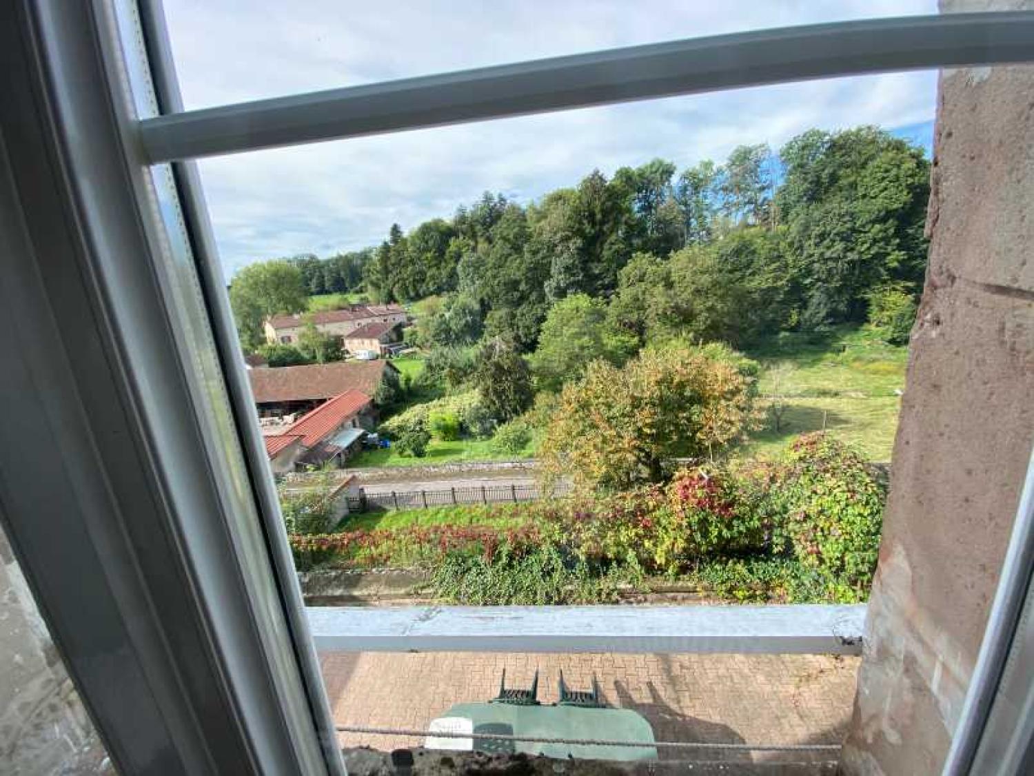  for sale mansion Châtillon-sur-Saône Vosges 23