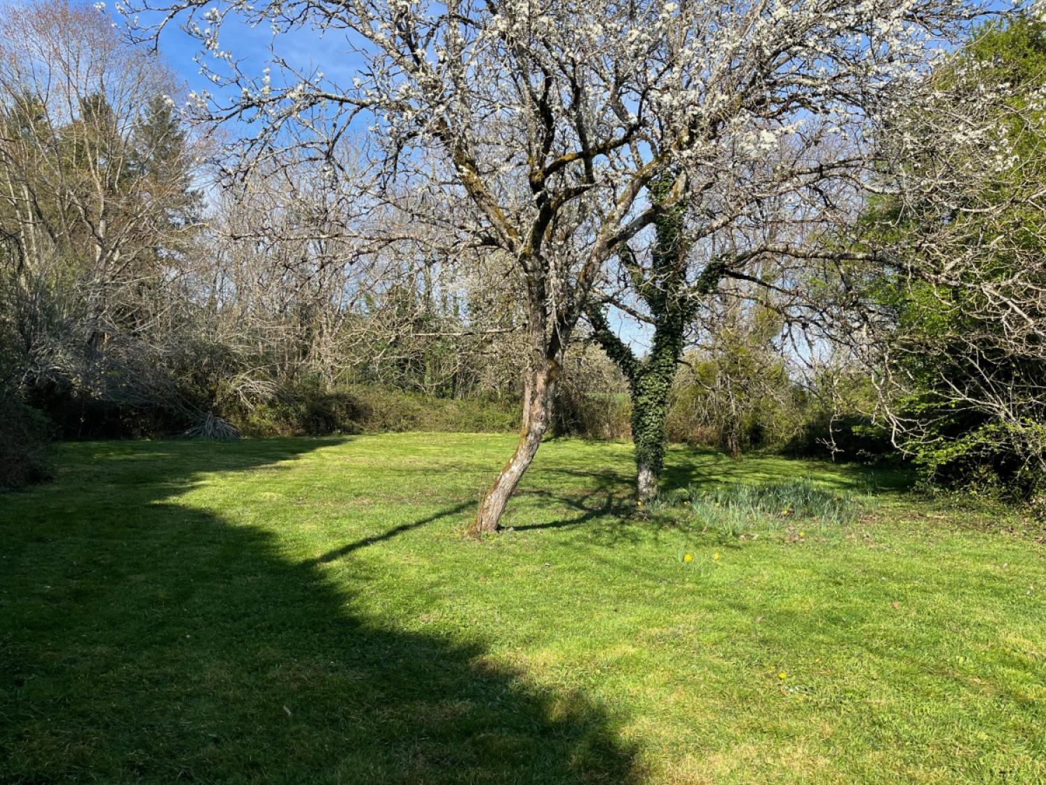  for sale detached house Jumilhac-le-Grand Dordogne 3