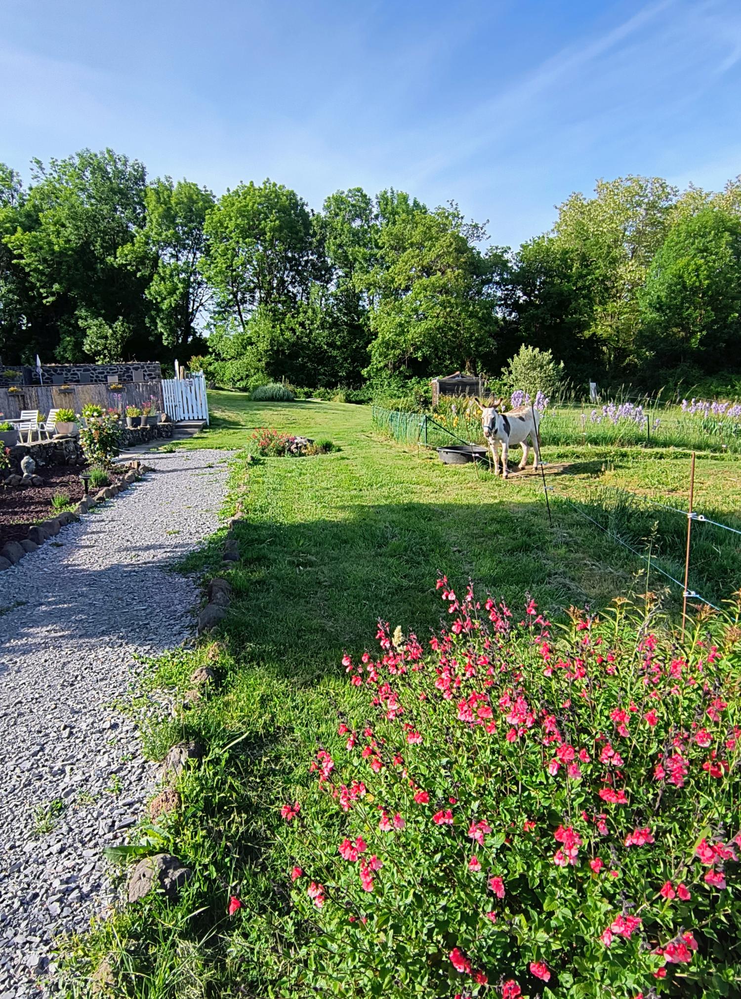 for sale property with holiday home Saint-Pons Ardèche 2