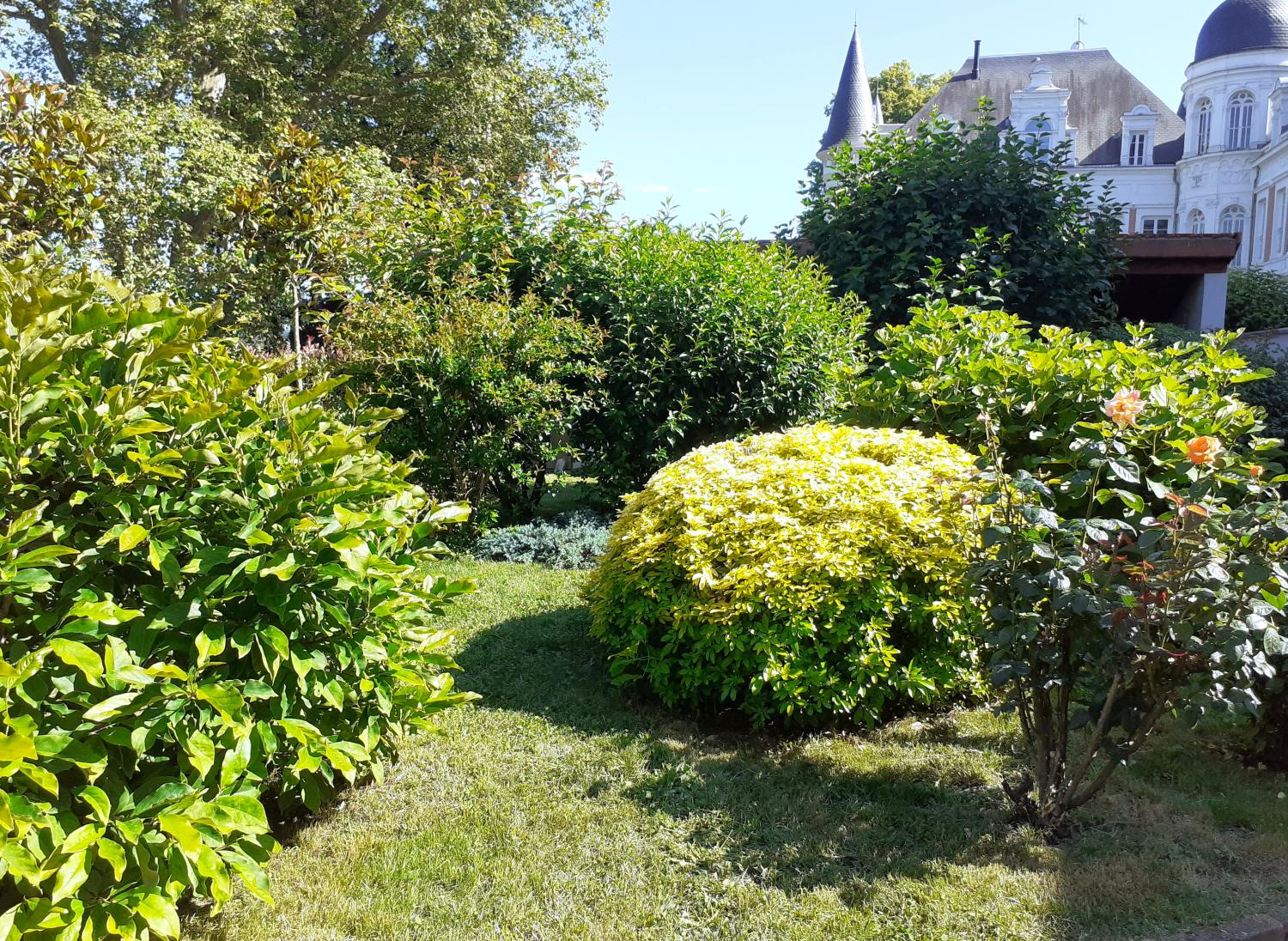  for sale house Sorbiers Loire 6