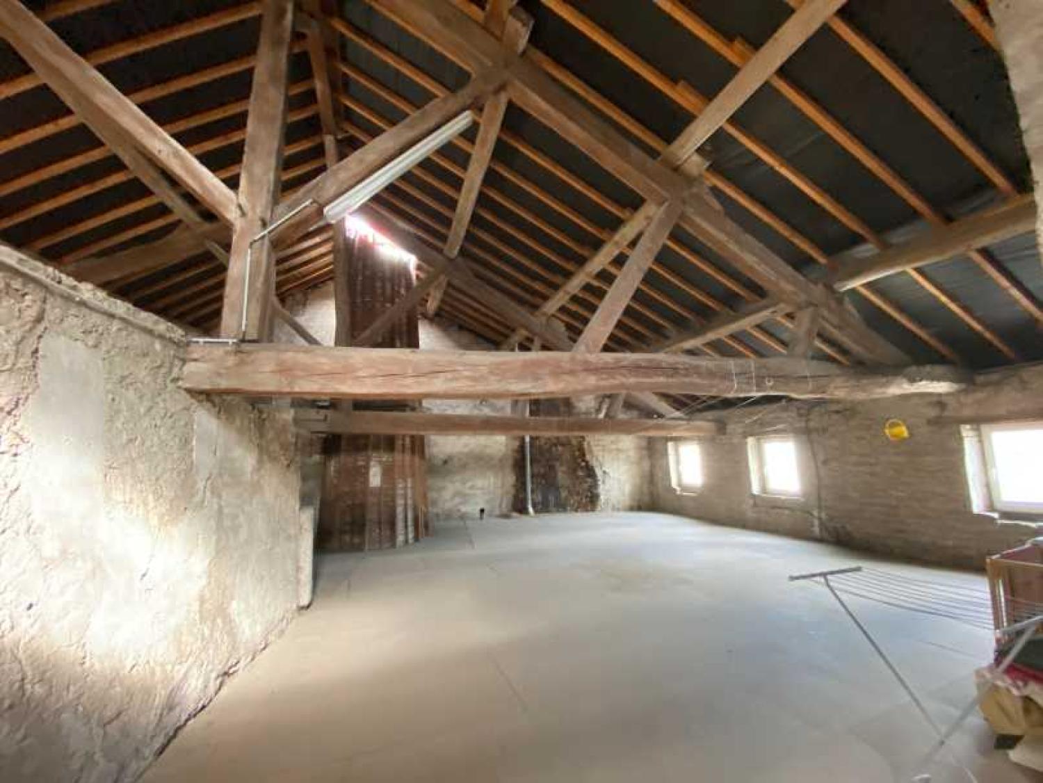  for sale mansion Châtillon-sur-Saône Vosges 25