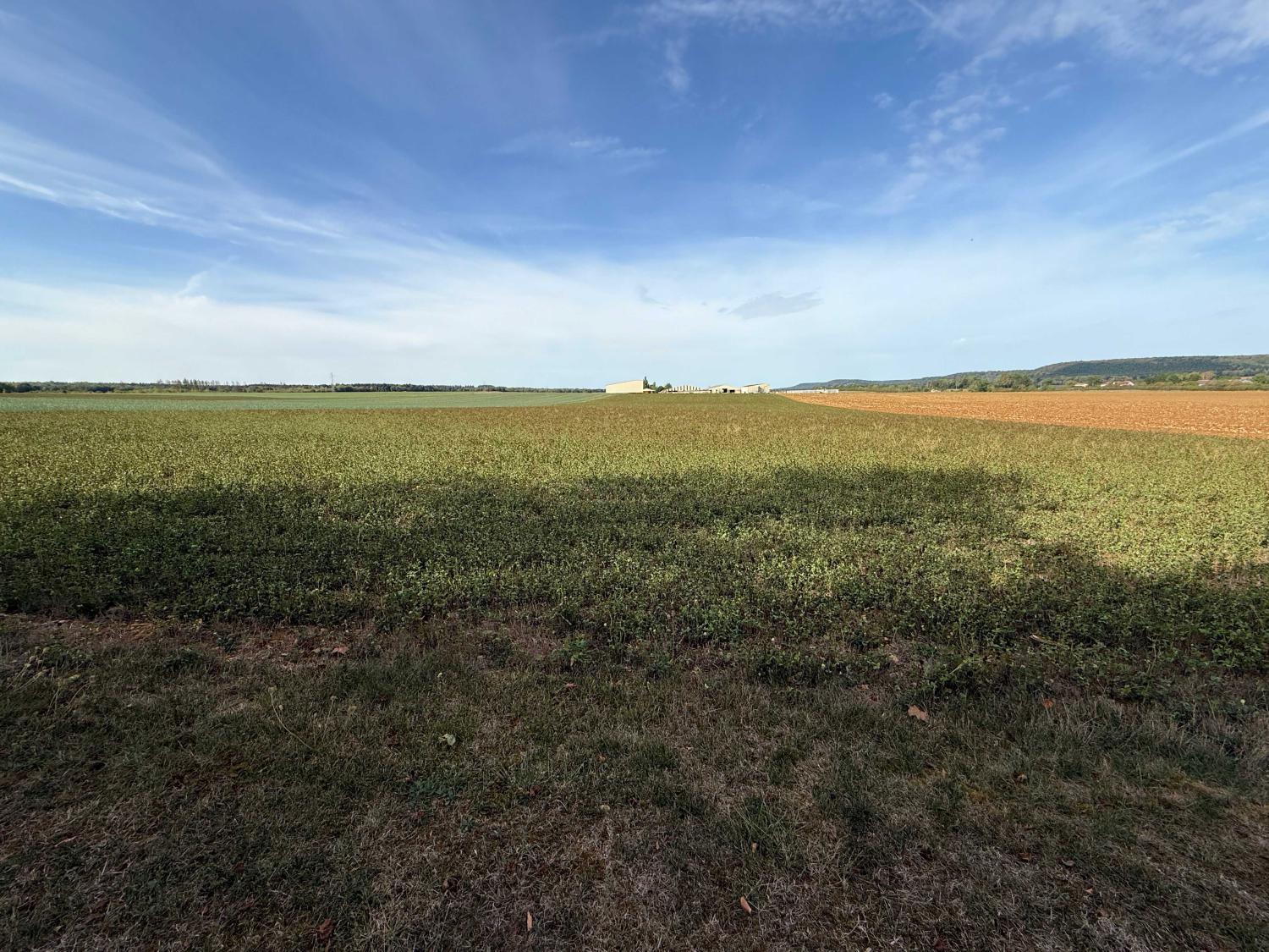 for sale detached house Liffol-le-Grand Vosges 30
